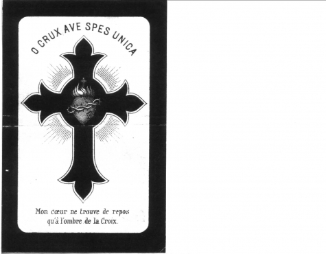 Scan