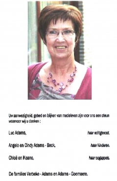 Scan