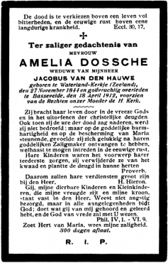 Scan