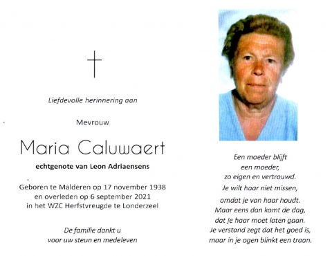 Scan