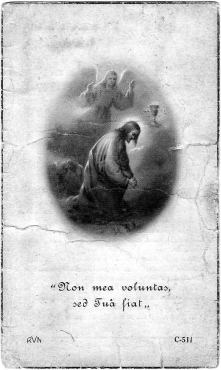 Scan