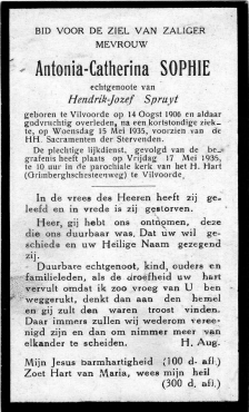 Scan