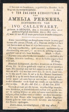 Scan