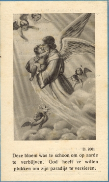 Scan