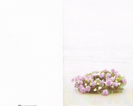 Scan