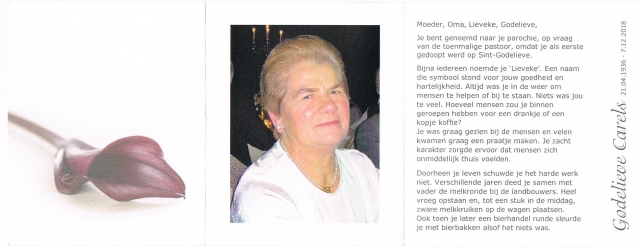 Scan