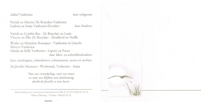 Scan