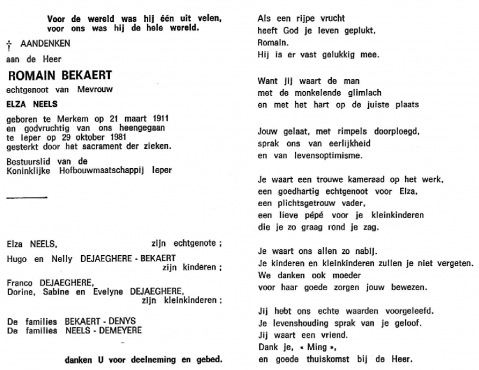 Scan