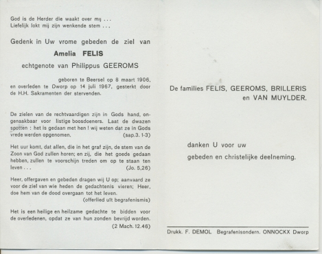 Scan