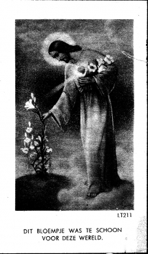 Scan