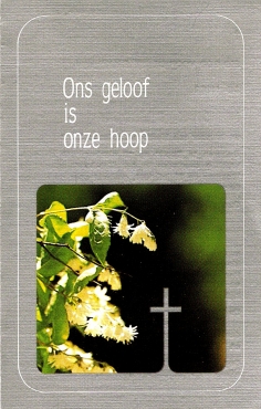 Scan