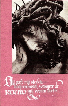 Scan