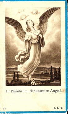 Scan