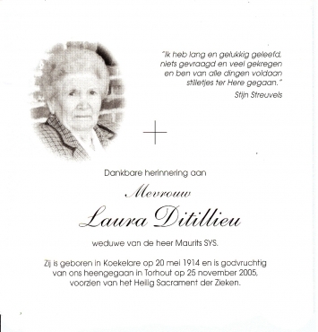 Scan