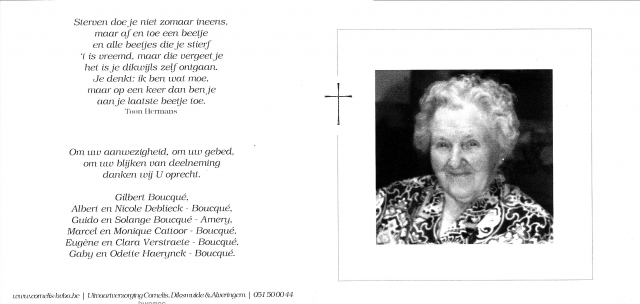 Scan