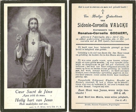 Scan