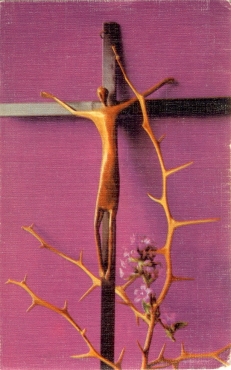 Scan