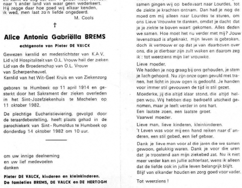 Scan