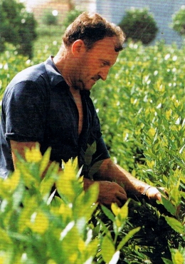 Scan