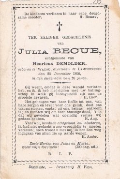 Scan