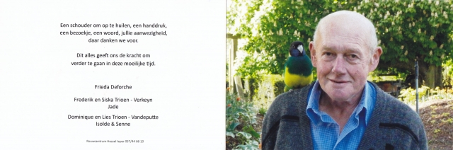Scan
