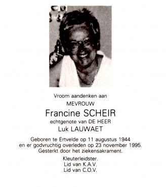 Scan