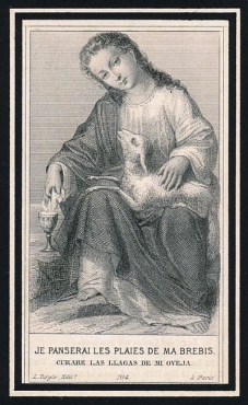Scan