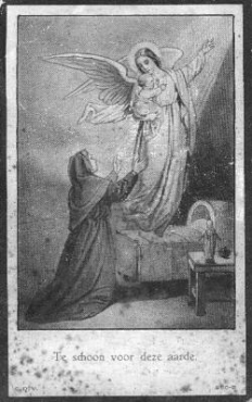 Scan