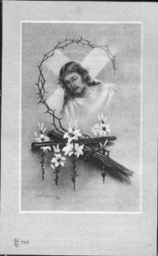 Scan