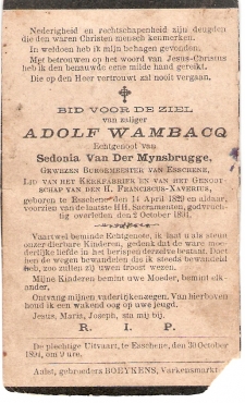 Scan