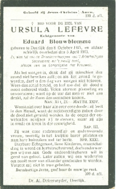 Scan