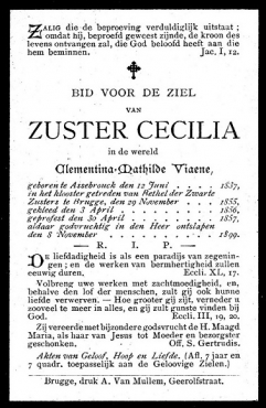 Scan