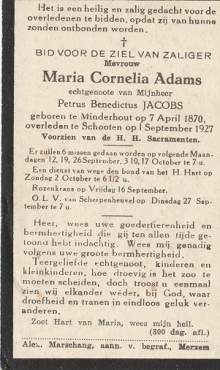 Scan