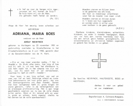 Scan