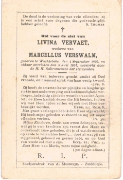 Scan