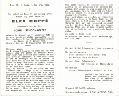 Scan