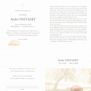 Scan