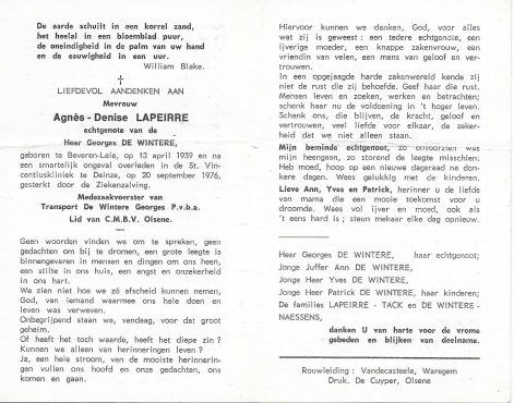 Scan