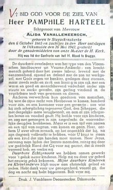 Scan