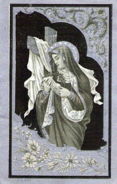 Scan