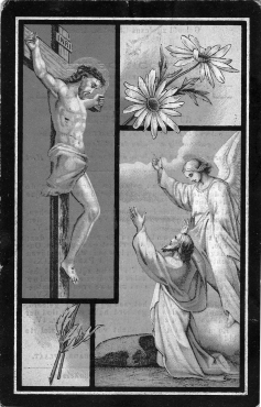 Scan