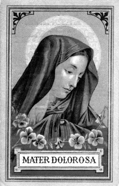 Scan