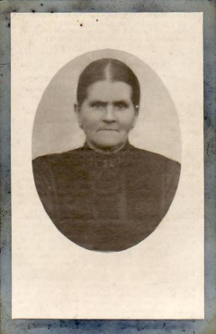 Scan
