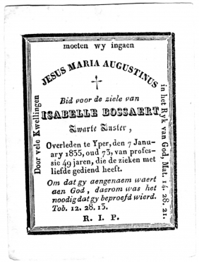 Scan