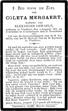 Scan