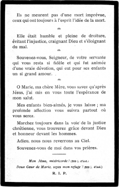 Scan