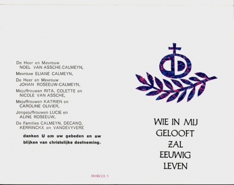 Scan