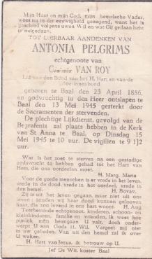 Scan