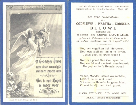 Scan