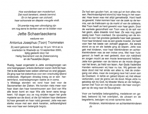 Scan